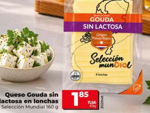 Dia Seleccion Mundial - Queso Gouda Sin Lactosa En Lonchas 