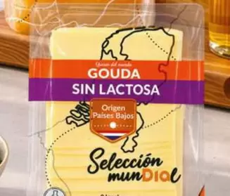 Dia Seleccion Mundial - Queso Gouda Sin Lactosa En Lonchas 
