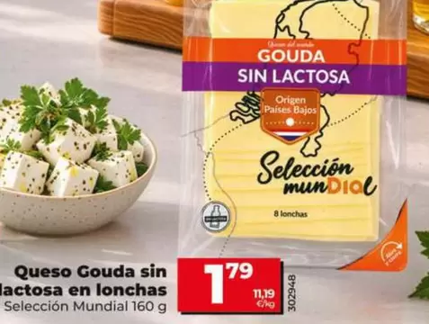 Dia Seleccion Mundial - Queso Gouda Sin Lactosa En Lonchas