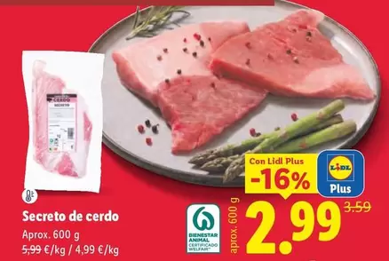 Secreto De Cerdo
