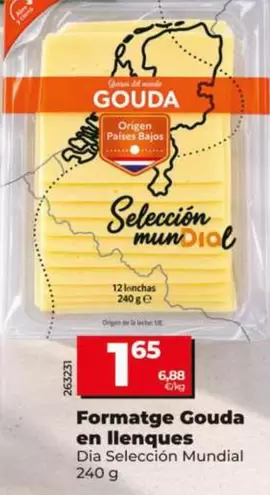 Dia Seleccion Mundial - Queso Gouda En Lonchas