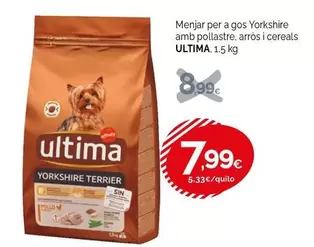 Última - Menjar Per A Gos Yorkshire Amb Pollastre, Arros I Cereales