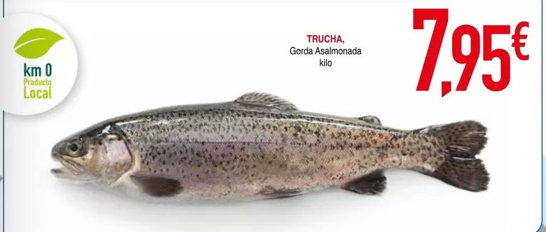 Toracha