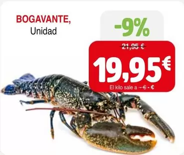 Bogavante