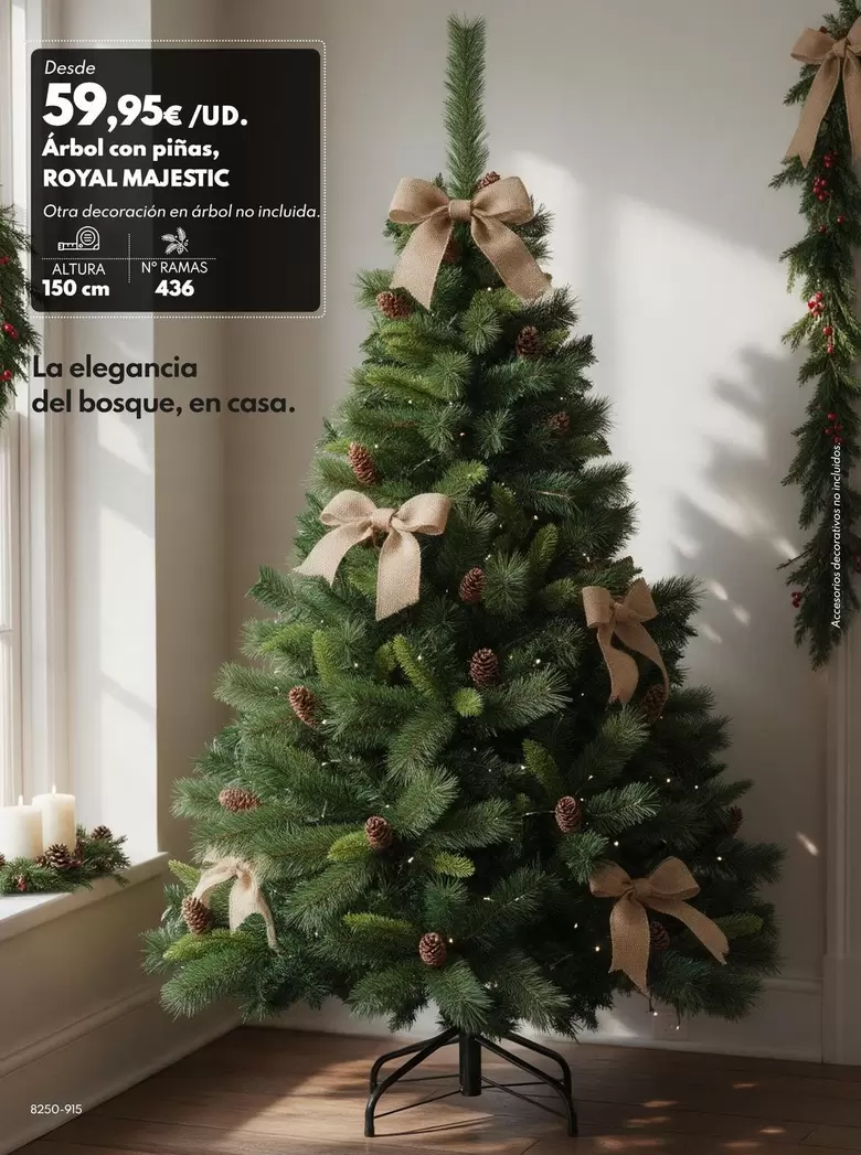 Árbol Con Piñas, ROYAL MAJESTIC