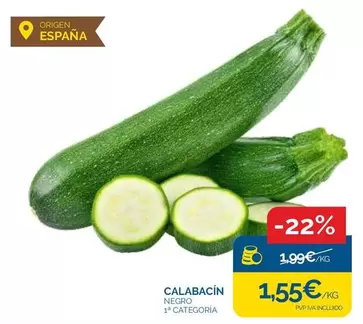 Calabacín Negro Origen España