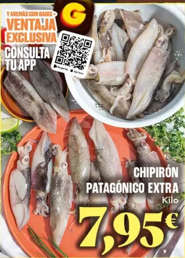Ace - Chipirón Patagónico Extra