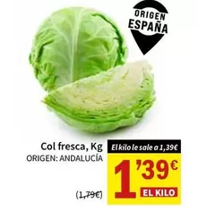 origen - Col Fresca