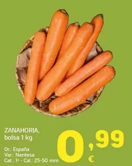 Zanahoria