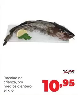 Bacalao De Crianza