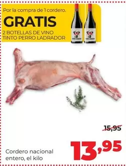 Cordero Nacional Entero