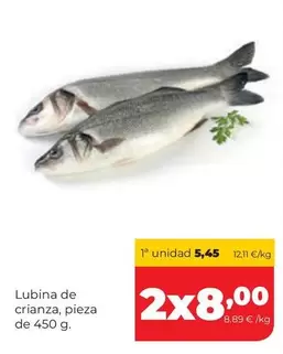 Lubina De Crianza