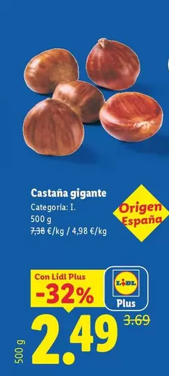 Castana Gigante