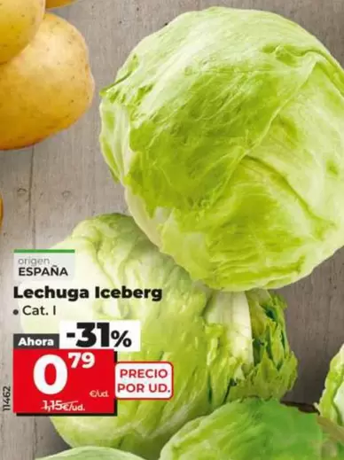Lechuga Iceberg
