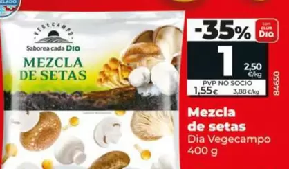 Dia Vegecampo - Mezcla De Setas