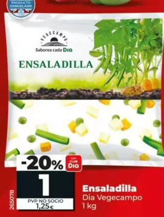 Dia Vegecampo - Ensaladilla