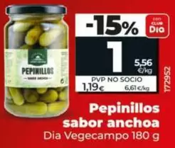 Dia Vegecampo - Pepinillos Sabor Anchoa