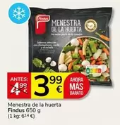 Findus - Menestra De La Huerta