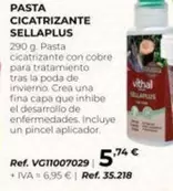 Pasta Cicatrizante Sellaplus