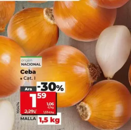 Cebolla