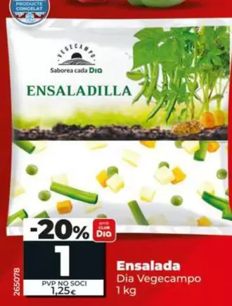 Dia Vegecampo - Ensaladilla