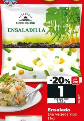 Dia Vegecampo - Ensaladilla