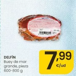 Delfín - Buey De Mar Grande