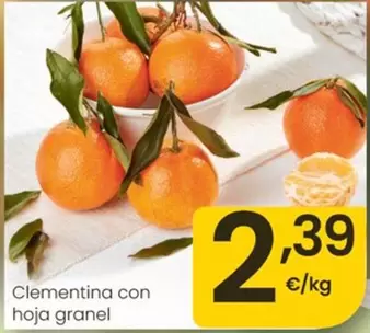 Clementina Con Hoja Granel