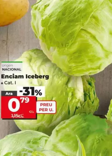 Lechuga Iceberg