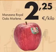 Marlene - Manzana Royal Gala