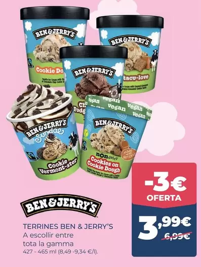 Ben & Jerry's - Terrines