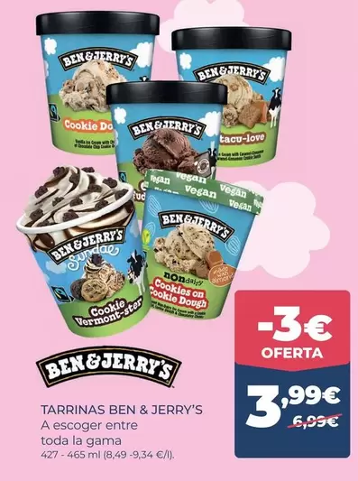 Ben & Jerry's - Tarrinas