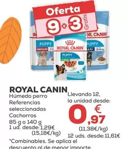 Royal Canin - Humedo Perro Cachorros