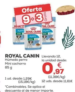 Royal Canin - Humedo Perro Mini Cachorro