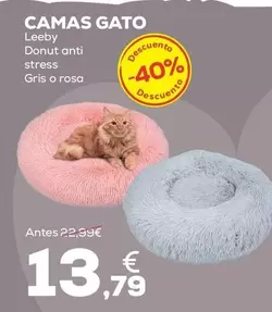 Leeby - Camas Gato