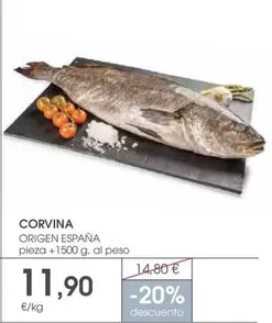 origen - Corvina