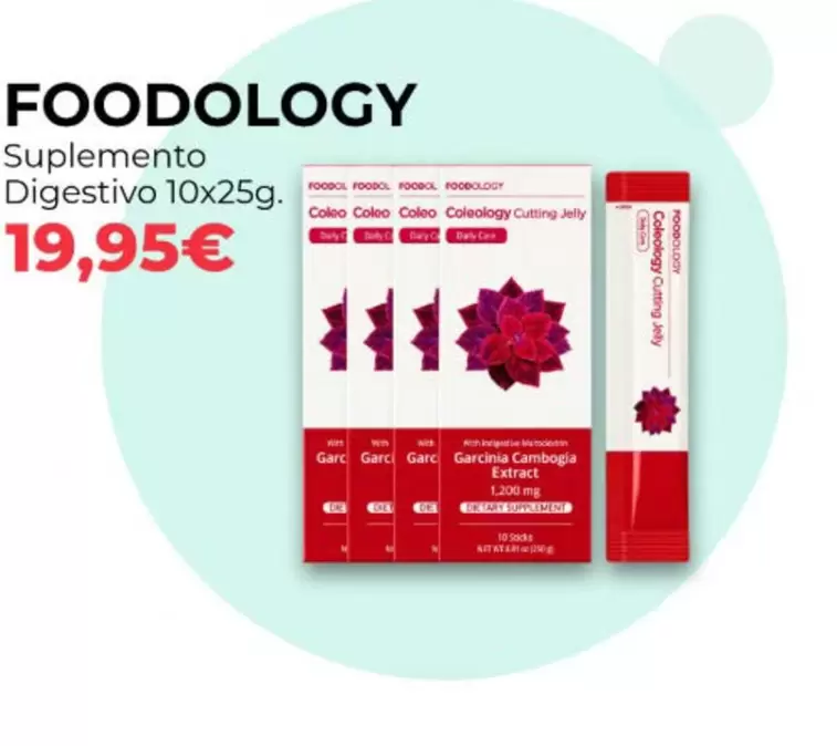 Cocido O Caldo