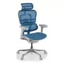 Silla ergonómica Ergohuman gen2, estructura gris