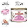 Royal Canin Mother & Babycat Alimento húmedo para gatitos  lactantes 12 x195g