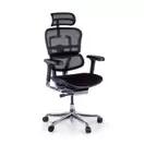 Silla Ergonómica Ergohuman Elite, asiento tapizado, estructura negra