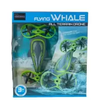 FLYING WHALE
