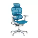 Silla ergonómica Ergohuman Elite, estructura blanca