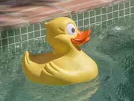 Pato XL