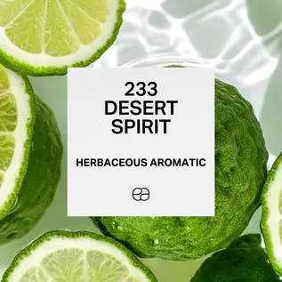 233 Desert Spirit