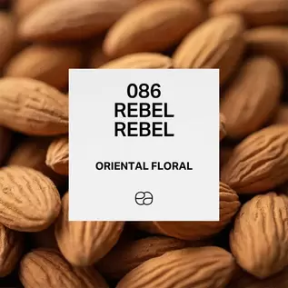 086 Rebel Rebel