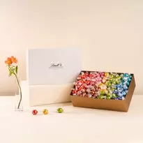 Caja Regalo 3 kg LINDOR