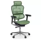 Silla ergonómica ejecutiva Ergohuman Elite, estructura negra