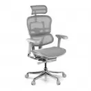 Silla ergonómica ejecutiva  Ergohuman Elite, estructura blanca