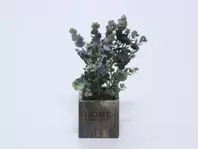 MACETA MADERA CON EUCALIPTO LILA