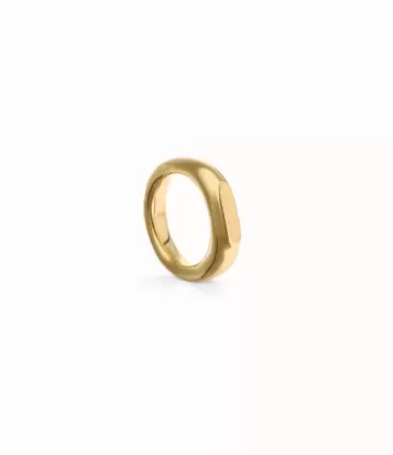 Geometric Ring